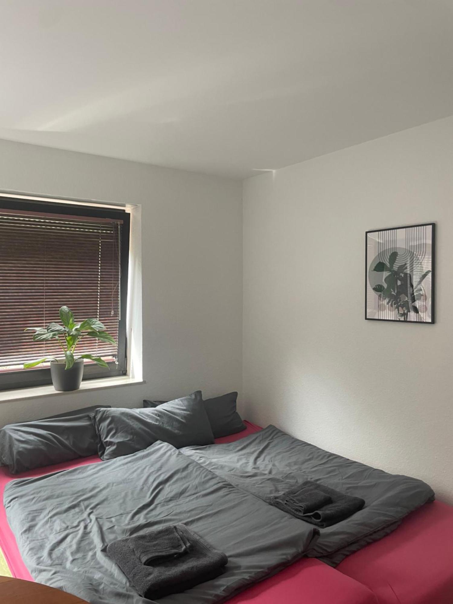 Schoenes Apartment Mit Terrasse Im Steingarten Bad Vilbel Eksteriør billede
